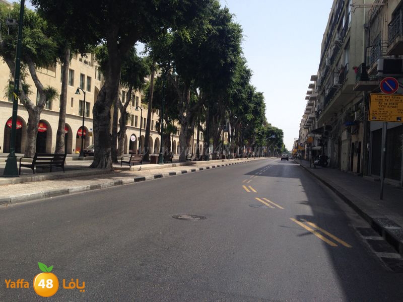 shate32 yaffasj (12).JPG